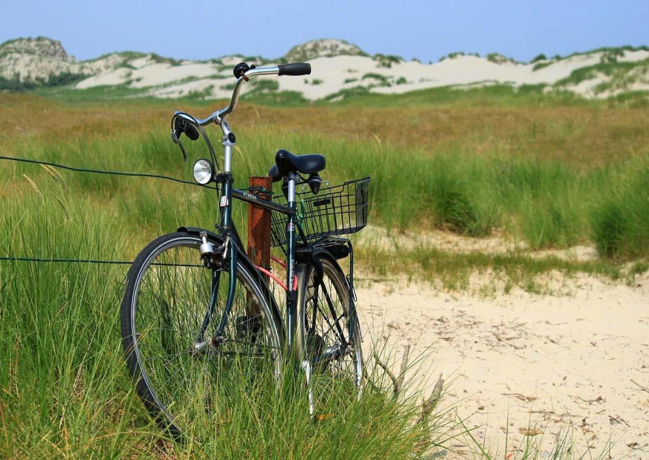 Cottage 44 - Free Parking! Zandvoort Eksteriør bilde